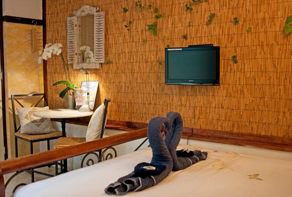 Barrio Amsterdam Hotell Rom bilde